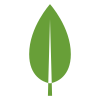 MongoDB icon